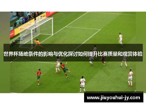 世界杯场地条件的影响与优化探讨如何提升比赛质量和观赏体验