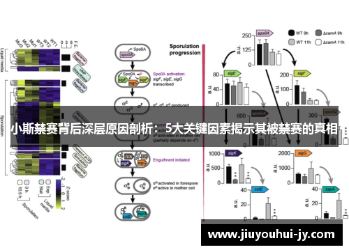 小斯禁赛背后深层原因剖析：5大关键因素揭示其被禁赛的真相